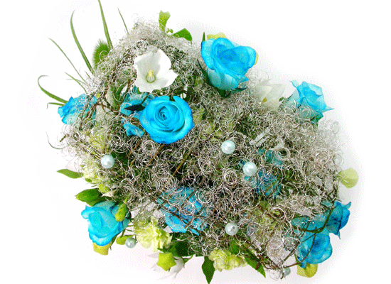 The Blue Paradise - Better together ���� �ɹ��