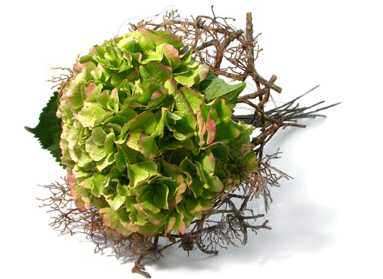 Feelingstory - �÷ζ� ���� ���� �ɹ��