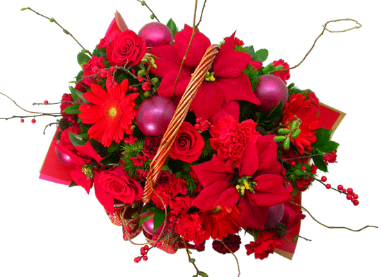 [] Happy Christmas - ̷  ɹ