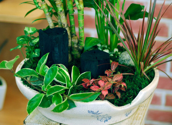 �츮�� ���� ���� �ɹ��