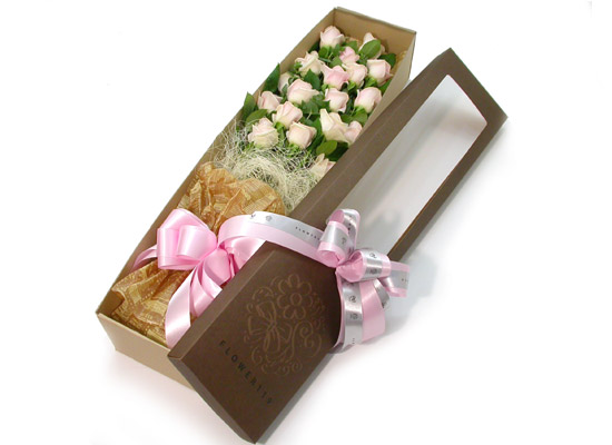 Trend box - ּҼ  ɹ