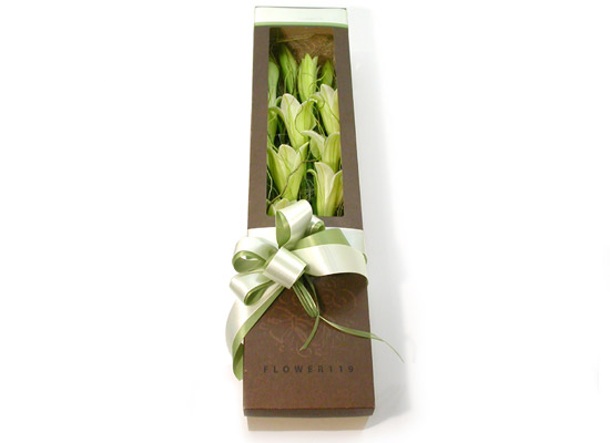 Trend box - pure story  ɹ