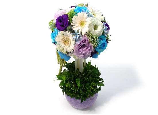 ����ƽ ���� - Indigoblue ���� �ɹ��