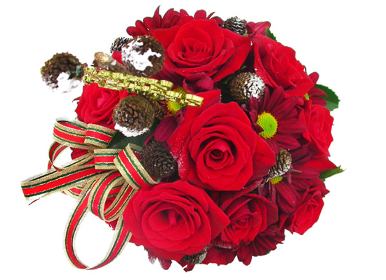 12  - Wish you  merry christmas  ɹ