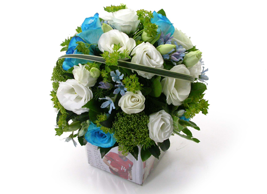 Blueberry Nights - And lovers ���� �ɹ��
