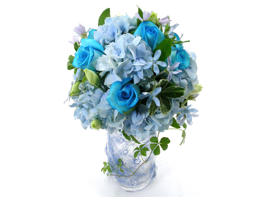 Blueberry Nights - have to go ���� �ɹ��