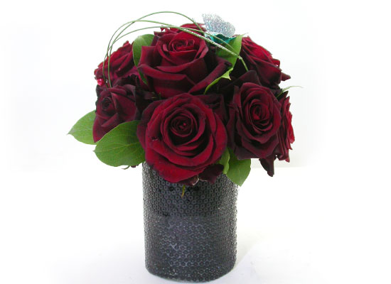 []All that rose - Roxie  ɹ
