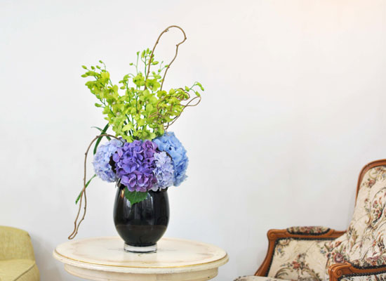 [������] Retro Mono - Versatile ���� �ɹ��