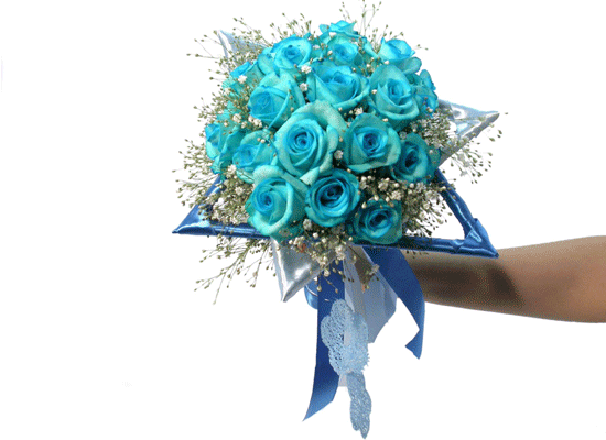 [ְα]Daisy Blue()  ɹ