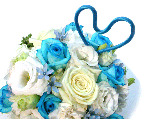 []Blue Daiana(̾Ƴ)  ɹ