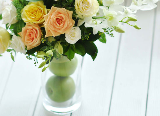 []Lovely lover - Apple green  ɹ