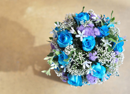 []That's cool - Blue topiary  ɹ