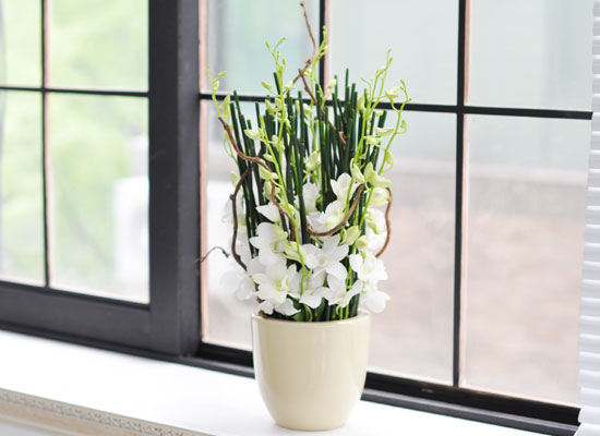 [������] Chic feminine2 - Green Sky ���� �ɹ��