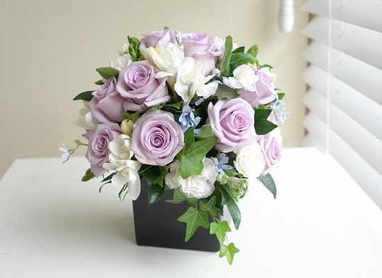 [] Rose & Silk violet  ɹ
