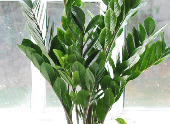 ������ ���� ���� -  ������ ���� �ɹ��