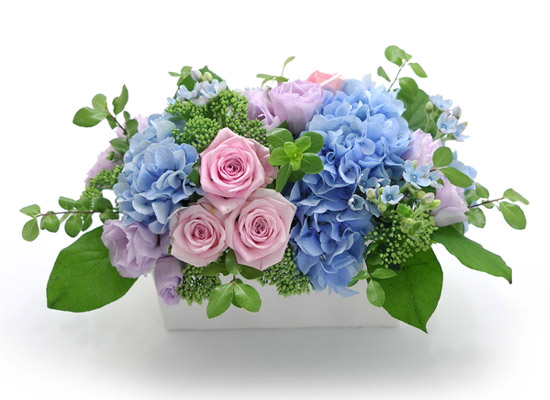 Summer blue - 하늘사탕 꽃집 꽃배달