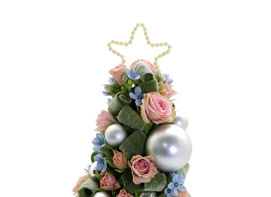 [￹]ũ -Jolly holly  ɹ
