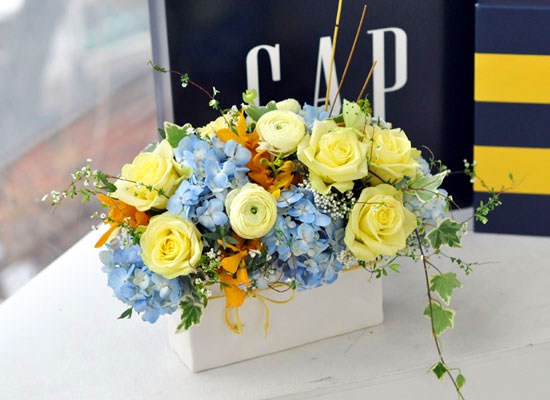 [] spring  ɹ