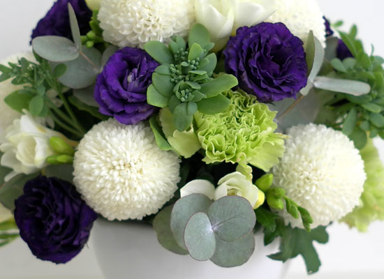 [] Elegant noble III - Pearl  ɹ