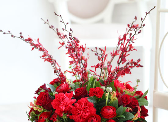 [] Elegant noble III - Passion  ɹ