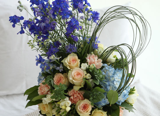 [] Elegant noble III - Blue gardenia  ɹ
