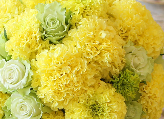 [] Beautiful colors - Mint Marigold  ɹ