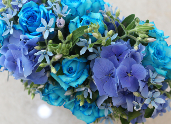 [] Beautiful colors - Silver Blue  ɹ