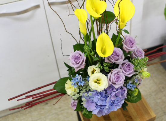 [] Art in Flowers - T line  ɹ