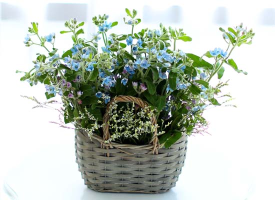   - Vintage Blue  ɹ