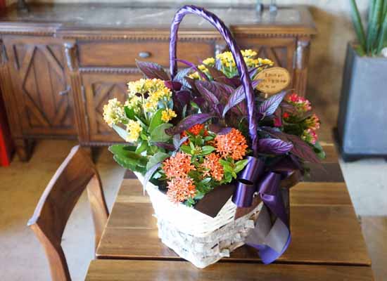 [ȭĹ]Garden gift basket -  It's always a good time!- ü  ɹ