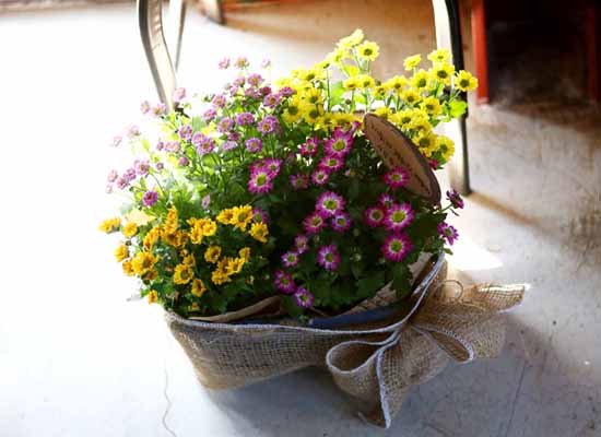 [ȭĹ]Garden gift basket - This is really cool looking!(   ü)  ɹ