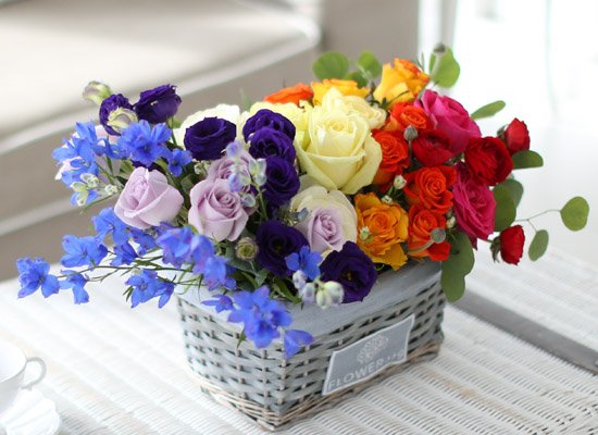 Spring&Sweet- Section RAINBOW 2  ɹ