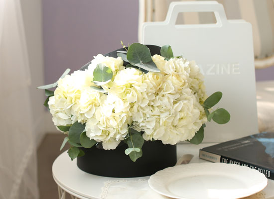 Fresh spring flower English white  ɹ