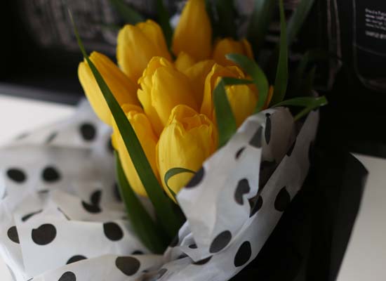 MARCH  - Simple Tulip  ɹ