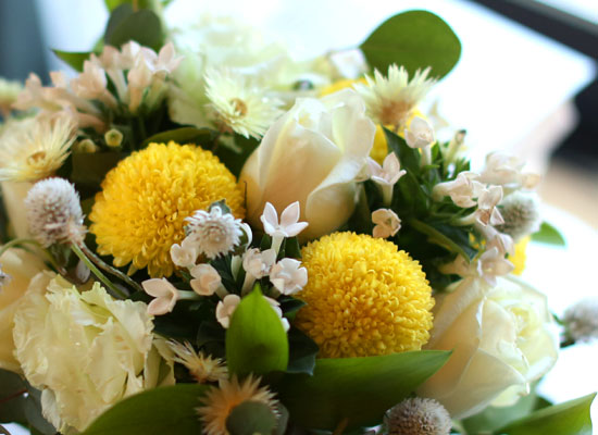 ��,�ɵ��� ����  Spring is here ���� �ɹ��