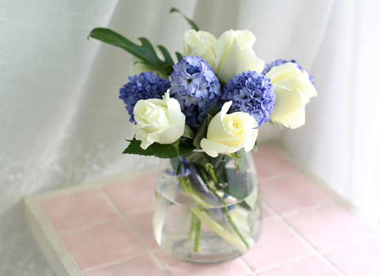 '()ȯ桯ô ƽý öȭ - I like the blue Hyacinth  ɹ