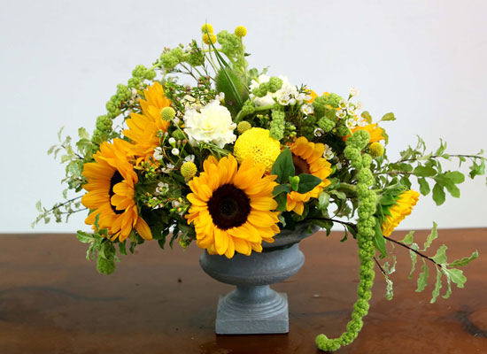 Summer Flowers - ޺ Ը  ɹ