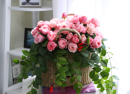 Romatic Rose ���� �ɹ��