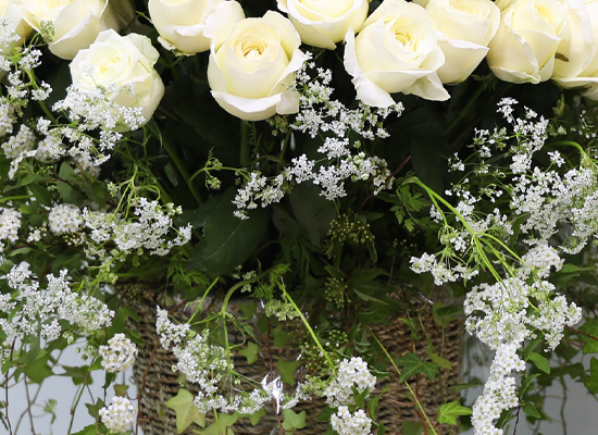 A Pure Wish ���� �ɹ��