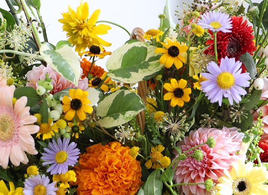 Sunlight Happiness ���� �ɹ��