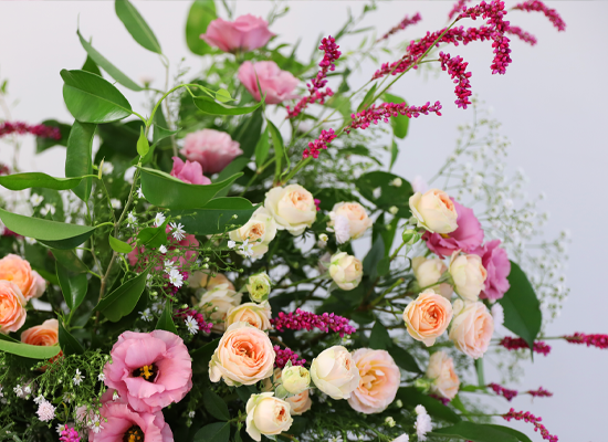 Where Warm Blessings Bloom ���� �ɹ��