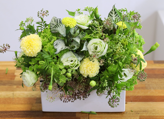 �ʷ� �� ��� ���� �ɹ��