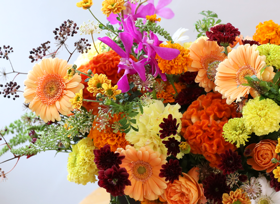 ��� ���� ���� ���� �ɹ��