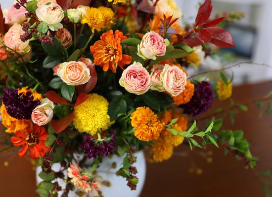 ������ ���� ������ �޻� ���� �ɹ��