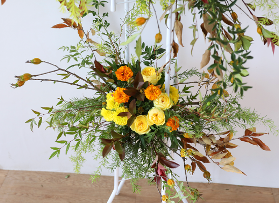 Brilliantly Ripened Today ���� �ɹ��