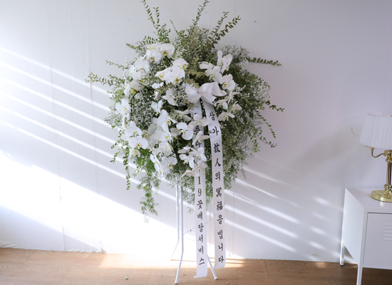 ������ �Ƚ��� ���� ���� �ɹ��