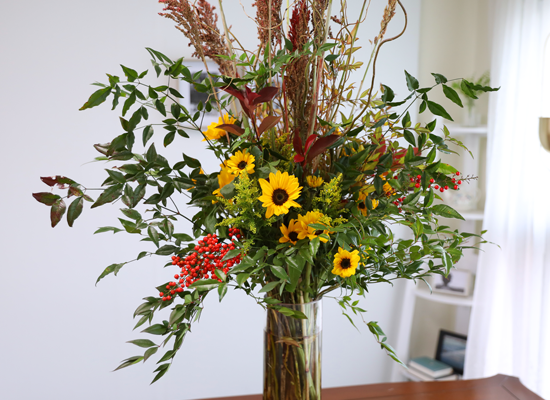 ���� �±��� ���� ���� �ɹ��