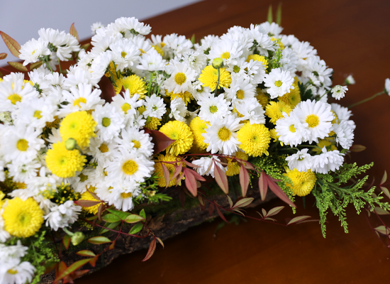 �޻� ���� ��� ��� ���� �ɹ��