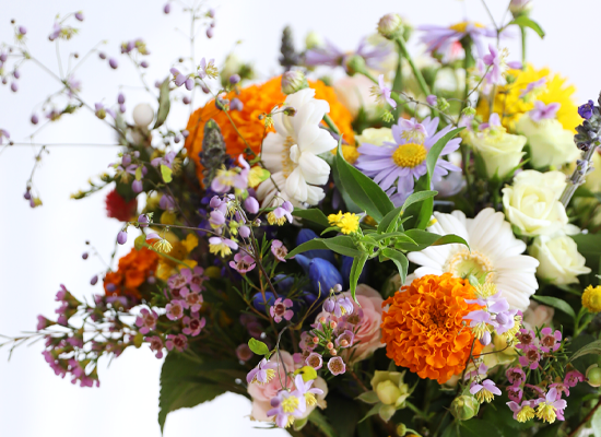 Full of Warmth ���� �ɹ��