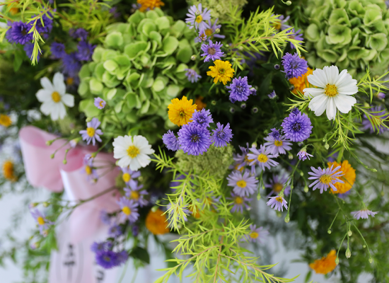 Green Wishes ���� �ɹ��